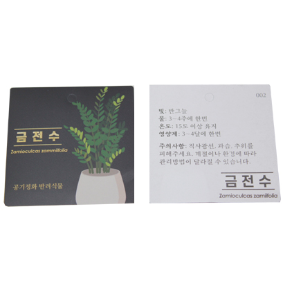 방수식물이름표(금전수)30장(7cm*7cm)