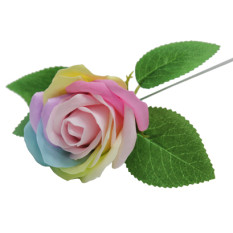 비누장미 무지개(25개)