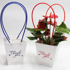 방수쇼핑백thank you(12cm용)10개