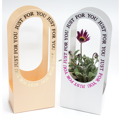 원형캐리어소(10개)